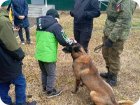 Красная звезда Солнцево